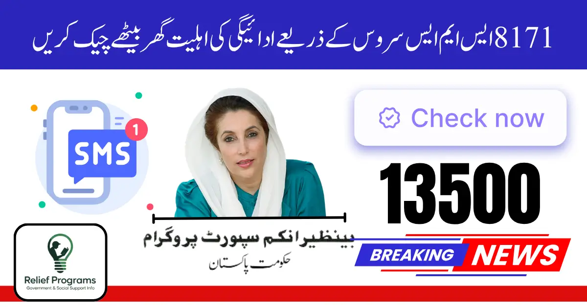 8171 Check Payment Status